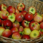 Auf dem Wochenmarkt liegen rote und gelbe Äpfel in einem Korb und erinnern an das frische Obstangebot regionaler Erzeuger.