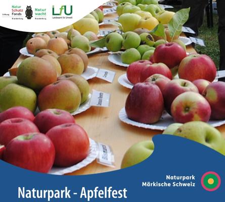 Auf Tischen liegen zahlreiche Apfelsorten auf Papptellern, darüber steht Naturpark-Apfelfest und Naturpark Märkische Schweiz.