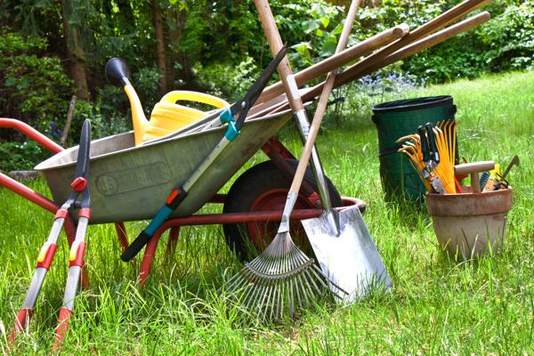 Eine Schubkarre steht im Gras, daneben lehnen Rechen, Schaufeln und Astscheren sowie Eimer mit weiterem Gartenwerkzeug.