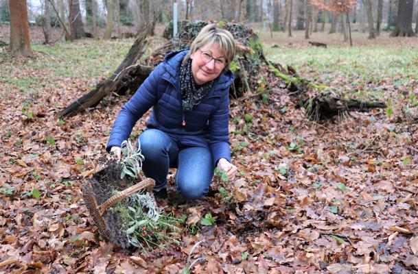 Eine Frau kniet im herbstlichen Laubwald und sammelt Kräuter aus einem Korb neben moosigen Wurzeln und Blättern.