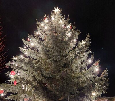 Ein großer Nadelbaum ist bei Dunkelheit mit Lichterketten und roten Anhängern geschmückt; oben strahlt ein heller Stern.