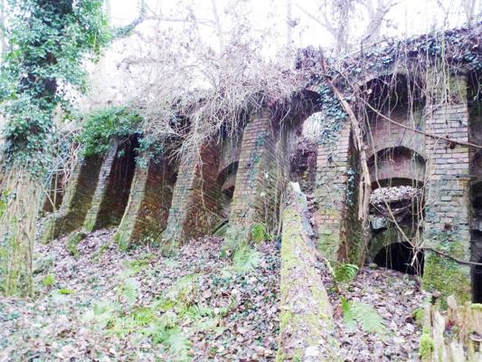 Eine überwucherte Backsteinruine mit mehreren Bogenöffnungen steht zwischen Laub, Moos und herabhängenden Zweigen.