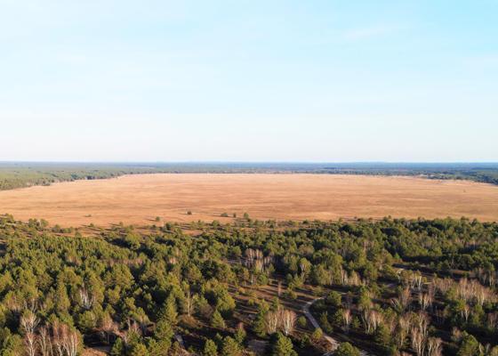 Weitläufige Sandfläche der Lieberoser Heide, umgeben von dichtem Wald unter klarem Himmel am Horizont.