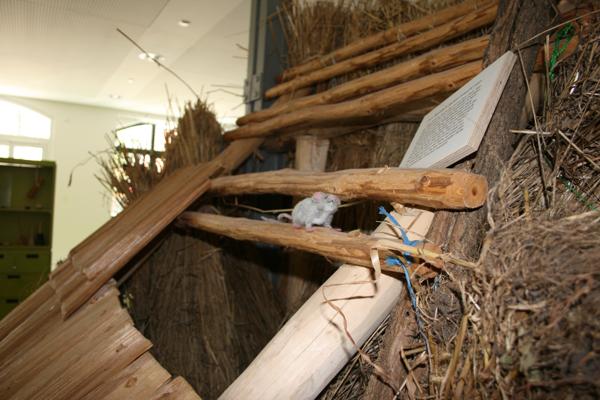 Zwischen Holzlatten und Stroh sitzt eine kleine Mausfigur neben einer Infotafel in einer museumartigen Installation.