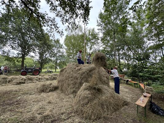 Mehrere Personen bauen und besteigen einen großen Heuhaufen zwischen Bäumen, daneben stehen ein Traktor und Bänke.