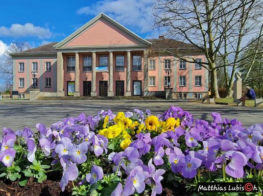 Vor einem pinken Gebäude mit Säulen blühen lila und gelbe Stiefmütterchen, darüber ein blauer Himmel.