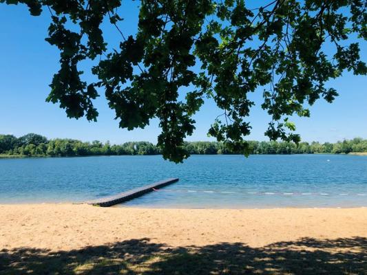 Ein Sandstrand am See mit einem kleinen Steg ins Wasser und überhängenden Baumästen im Vordergrund.