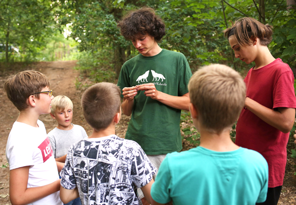 Ein junger Mann im grünen T-Shirt untersucht ein kleines Pflänzchen, während Kinder und Jugendliche im Wald zusehen.