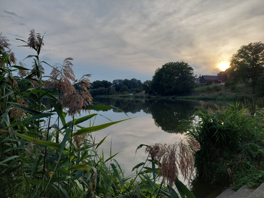 Am ruhigen See spiegeln sich Himmel und Bäume, während Schilf im Vordergrund steht und die Sonne hinter Häusern sinkt.