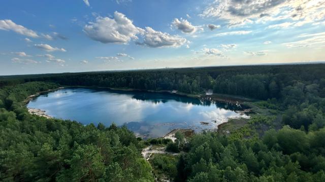 Der Felixsee liegt ruhig zwischen dichtem Wald, darüber ziehen helle Wolken über einen weiten blauen Himmel.