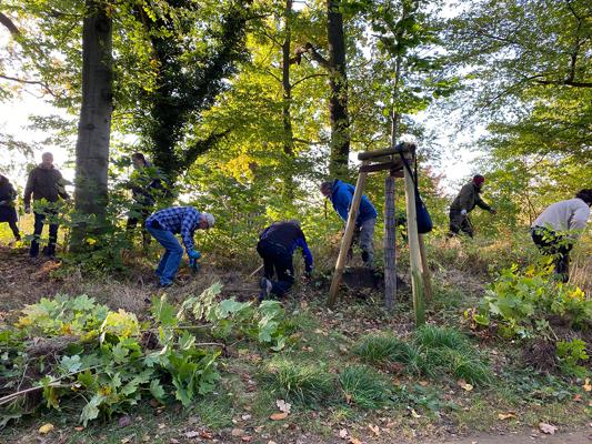 Mehrere Teilnehmende arbeiten an einem Hang, graben im Boden und pflegen Bäume und Sträucher im herbstlichen Park.