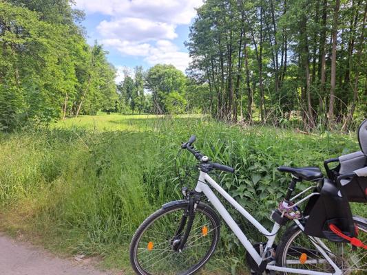 Ein weißes Fahrrad steht an einem Weg neben hoher Wiese, dichtem Wald und sonnigem Himmel mit Wolken.