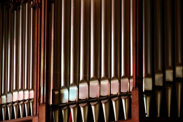 Schmale Orgelpfeifen stehen dicht nebeneinander und werden von warmem Licht in einem Kirchenraum angestrahlt.