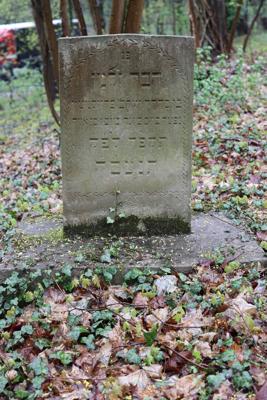 Ein verwitterter jüdischer Grabstein mit hebräischer Inschrift steht zwischen Moos, Efeu und herbstlichem Laub.