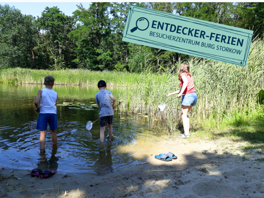 Drei Kinder stehen mit Keschern am Ufer eines Teichs, daneben weist ein Schild auf Entdecker-Ferien hin.