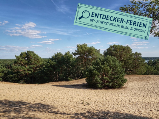 Heller Sand und Kiefern prägen die Binnendüne, dazu weist ein Schild auf die Entdecker-Ferien in Burg Storkow hin.