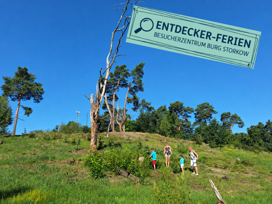 Am Hang einer grünen Düne stehen Kinder und Erwachsene, daneben das Schild „Entdecker-Ferien“.
