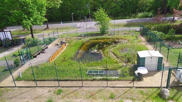 Ein umzäuntes Schildkrötengehege mit flachem Teich, Grasflächen, Wegen und kleiner Hütte im Grünen.