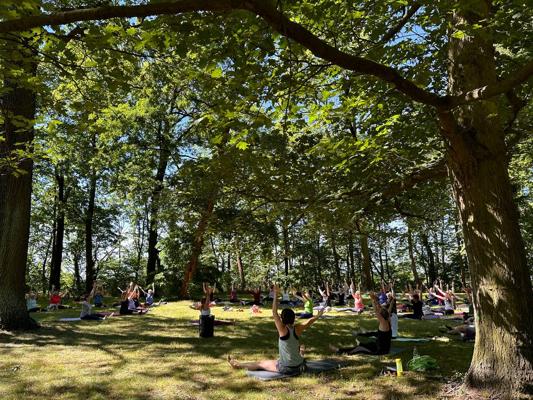 Mehrere Menschen üben Yoga auf einer sonnigen Wiese im Spremberger Stadtpark, umgeben von hohen Bäumen und dichtem Grün.