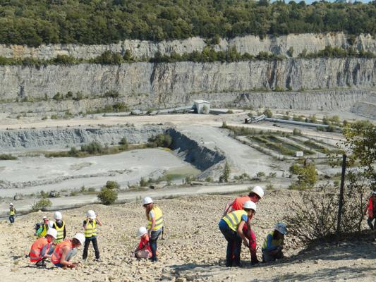 Mehrere Kinder mit Schutzhelmen und Warnwesten sammeln und untersuchen Gestein vor einer hellen Felswand im Steinbruch.