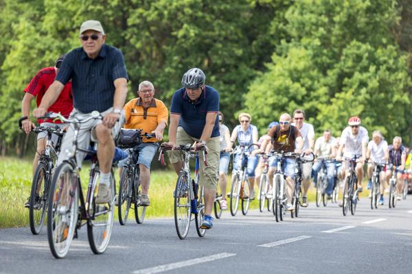 Mehrere Radfahrer des ADFC Brandenburg e.V. fahren auf der Südroute der Tour Brandenburg gemeinsam durch eine grüne Landschaft.