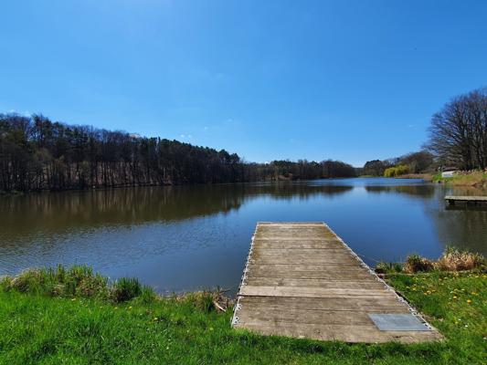 Am Dorchesee in Schwerzko führt ein Holzsteg ins ruhige Wasser, während grüne Ufer und Wald den herbstlichen See im Sonnenschein sanft rahmen.