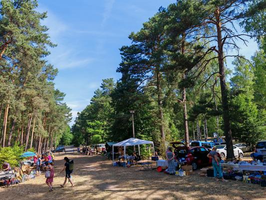 Zwischen hohen Kiefern findet der Flohmarkt am Großsee statt, während Besucher an Ständen stöbern und Fahrzeuge entlang des Waldwegs parken.