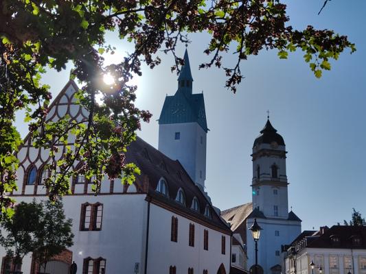 Sonnenlicht fällt durch Baumzweige auf historische Gebäude mit Kirchtürmen und Fachwerkfassade in der Cottbuser Altstadt.