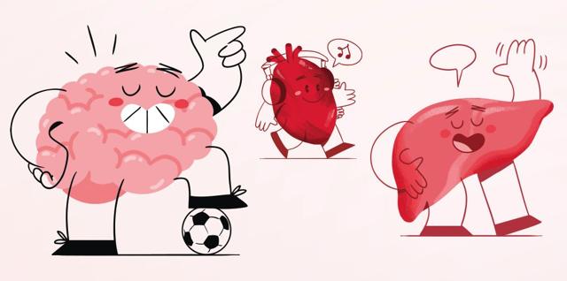 Drei animierte Organe wie Gehirn, Herz und Leber zeigen Emotionen und verweisen auf die Aktionswoche Alkohol in Cottbus mit humorvoller Illustration.