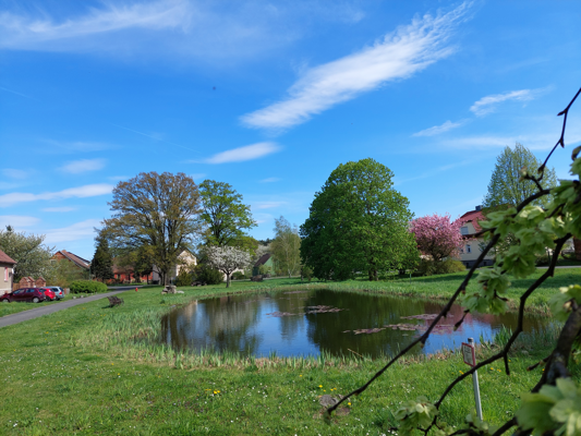An einem sonnigen Tag liegt ein stiller Teich in grüner Dorfidylle, passend zum Blasmusikfest Breslack der Breslacker Dorfmusik e.V.