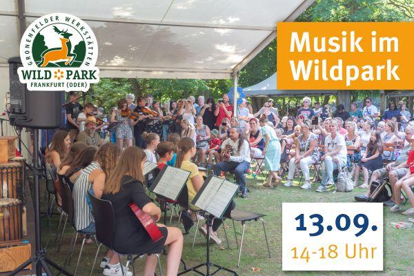 Junge Musiker vor dem Publikum im Park, Foto: Wichern Diakonie Frankfurt (Oder), Lizenz: Wichern Diakonie Frankfurt (Oder)