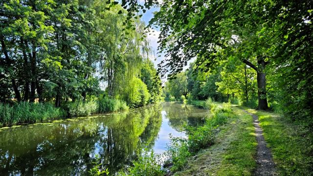 Entlang des Storkower Kanals führt der 66-Seen-Weg durch grüne Uferlandschaft mit stillem Wasser und schmalem Pfad bis nach Bad Saarow.