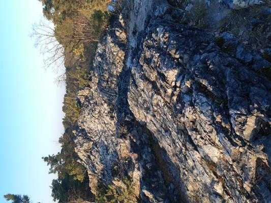 Foto: Susann Nitzsche, Lizenz: Naturwacht Brandenburg, Naturschutzfonds