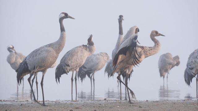 Foto: © Stefan Schulz, KR Film GbR