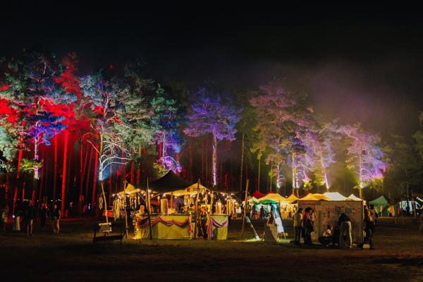 Festivalgelände im Wald, Foto: evolve Festival, Lizenz: evolve Festival