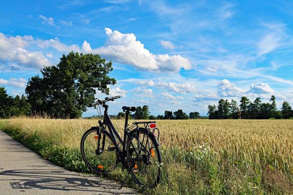 Foto: Pixabay Wellow Summer