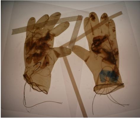 Foto: T. Helbig