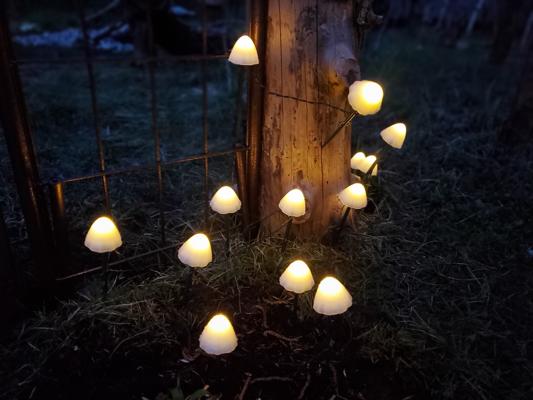 Foto: Liska Malin Rarisch, Lizenz: Liska Malin Rarisch