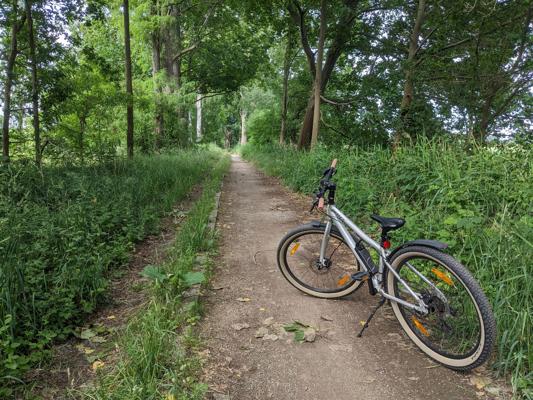 Fahrrad, Foto: Essi Rätti, Lizenz: Tourismusverband Dahme-Seenland e.V.