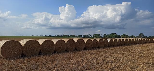 herbstliche Strohballen auf einem Feld, Foto: Kathleen Brandau, Lizenz: Gemeinde