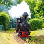 Eine schwarze Dampflok fährt auf schmalen Gleisen durch einen grünen Park, während weißer Dampf aufsteigt.