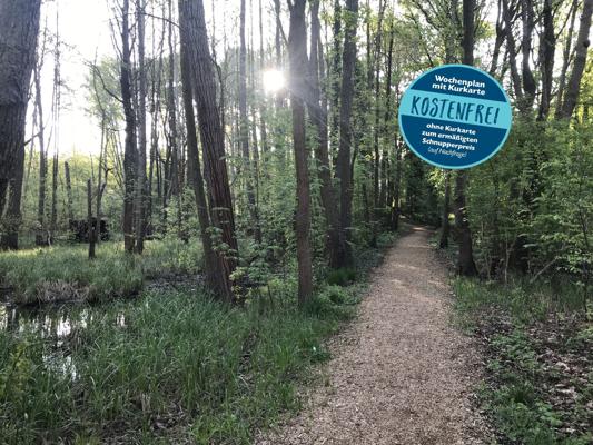 Ein schmaler Waldweg führt durch lichten Baumbestand, daneben steht ein rundes Schild mit dem Hinweis „KOSTENFREI“.