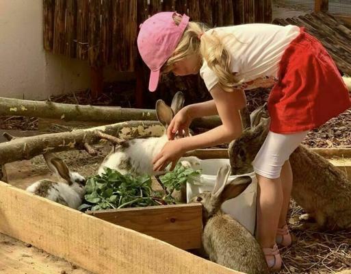 Fütterung , Foto: Scharmuntzelland, Lizenz: Scharmuntzelland