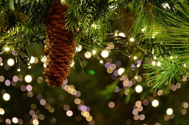 Ein Tannenzweig mit Zapfen hängt vor warmen Lichterpunkten, die in weichem Bokeh ein festliches Weihnachtsmotiv bilden.